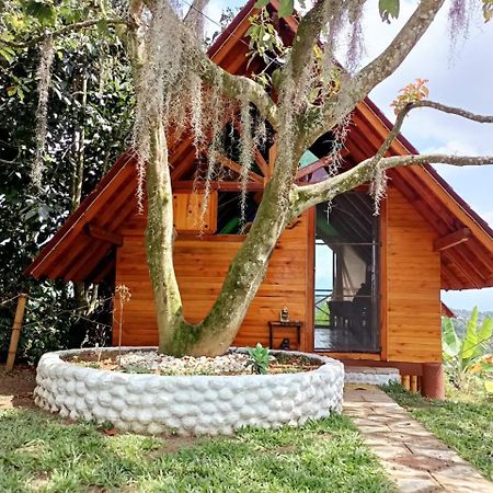 Cabanas La Miranda Filandia Bagian luar foto