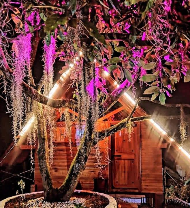 Cabanas La Miranda Filandia Bagian luar foto