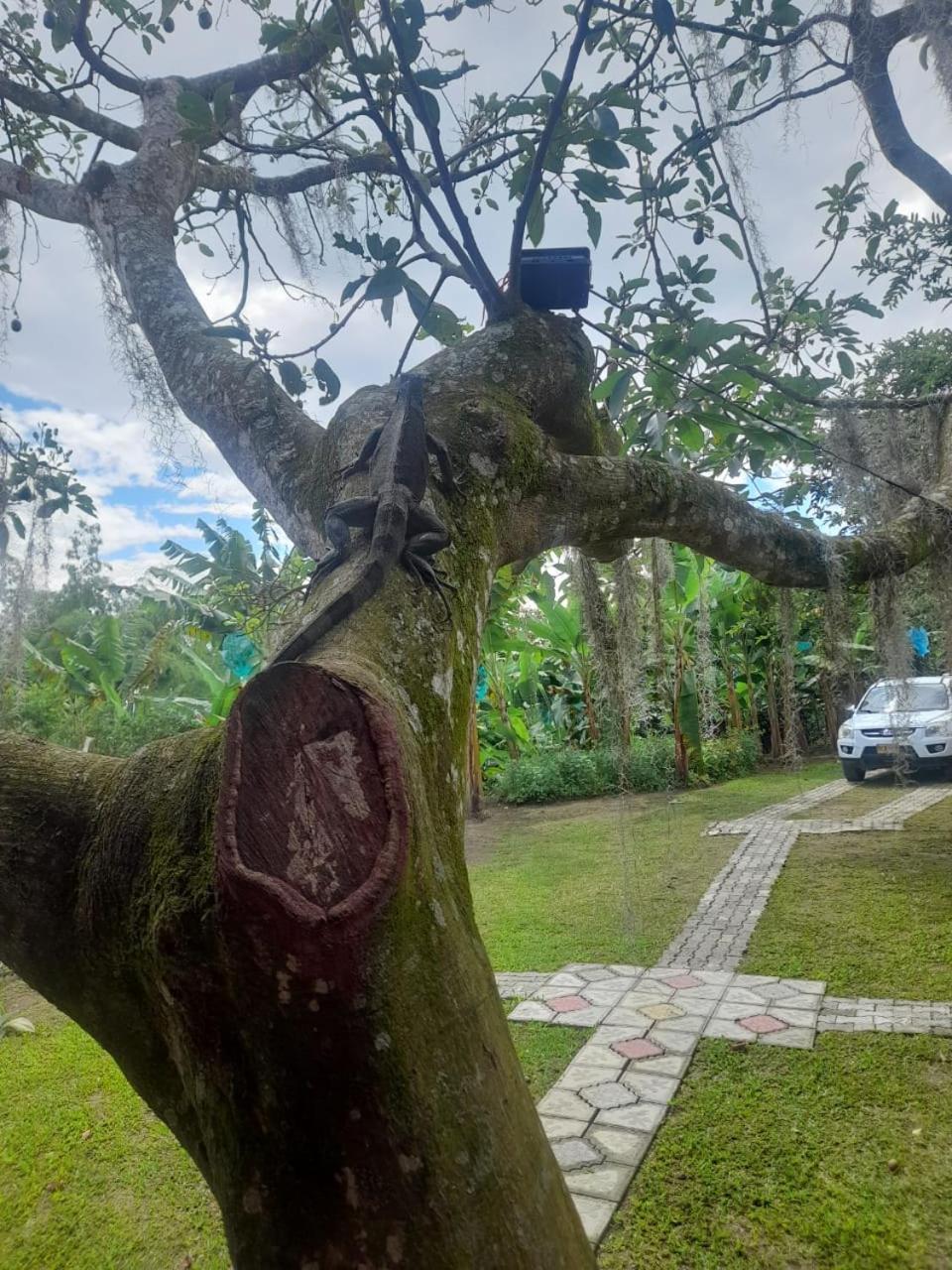 Cabanas La Miranda Filandia Bagian luar foto