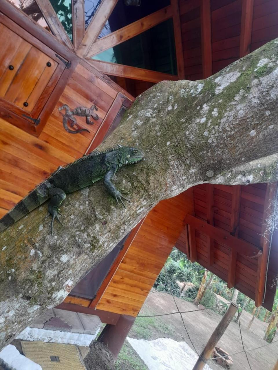 Cabanas La Miranda Filandia Bagian luar foto