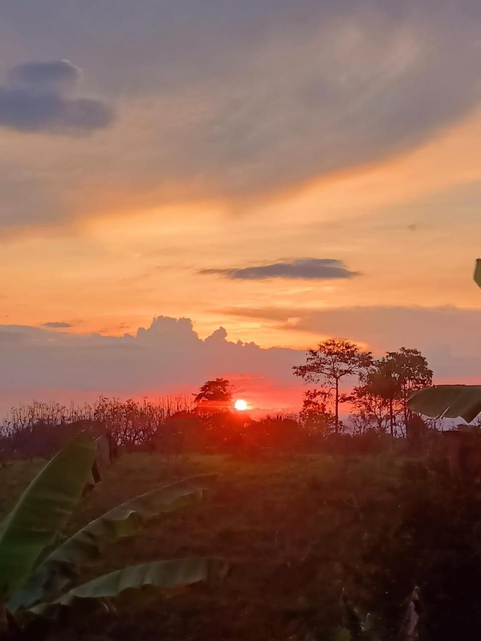 Cabanas La Miranda Filandia Bagian luar foto