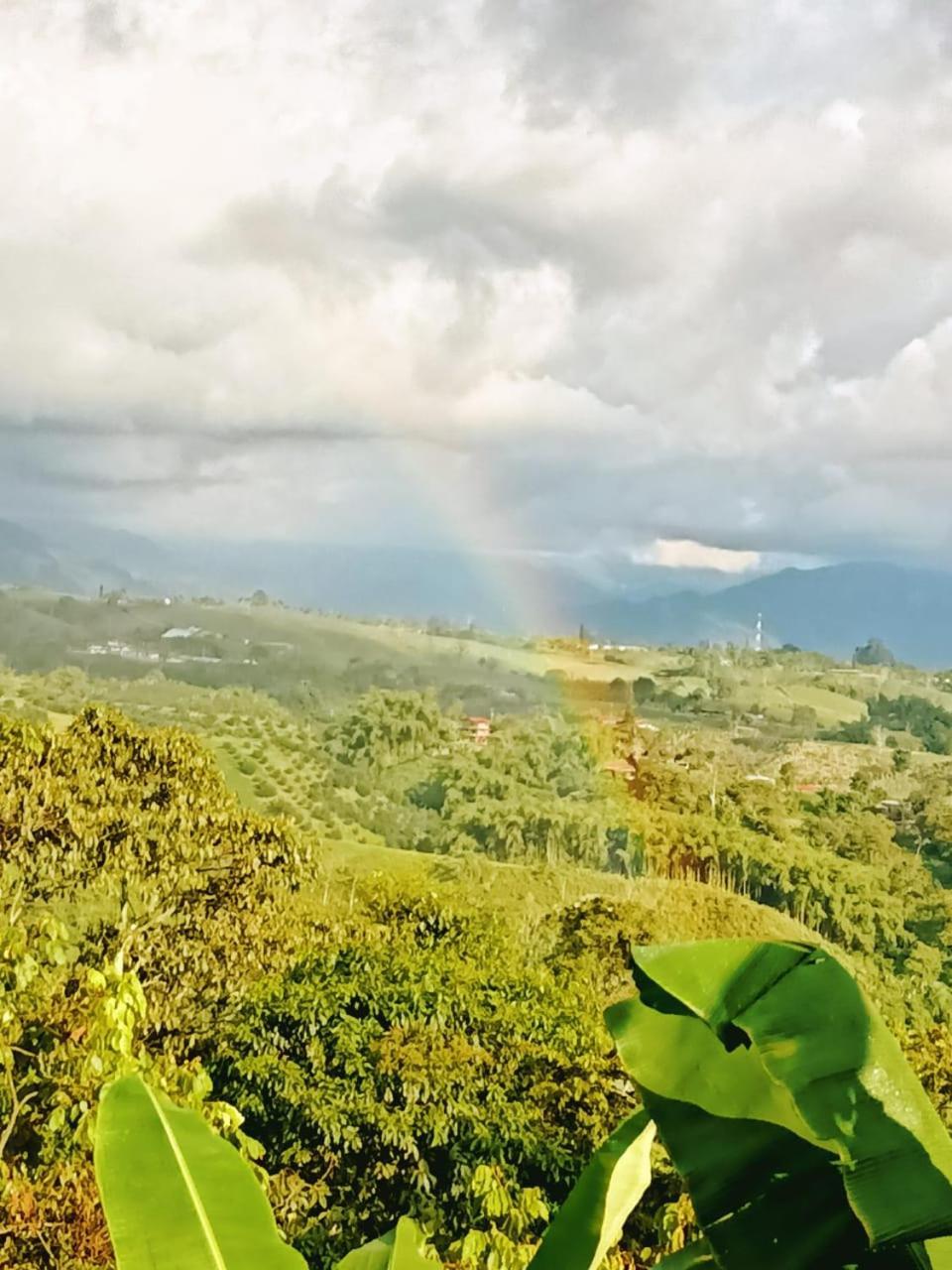 Cabanas La Miranda Filandia Bagian luar foto