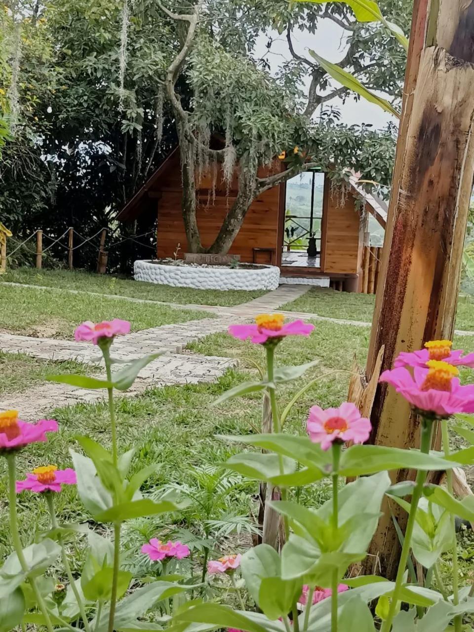 Cabanas La Miranda Filandia Bagian luar foto