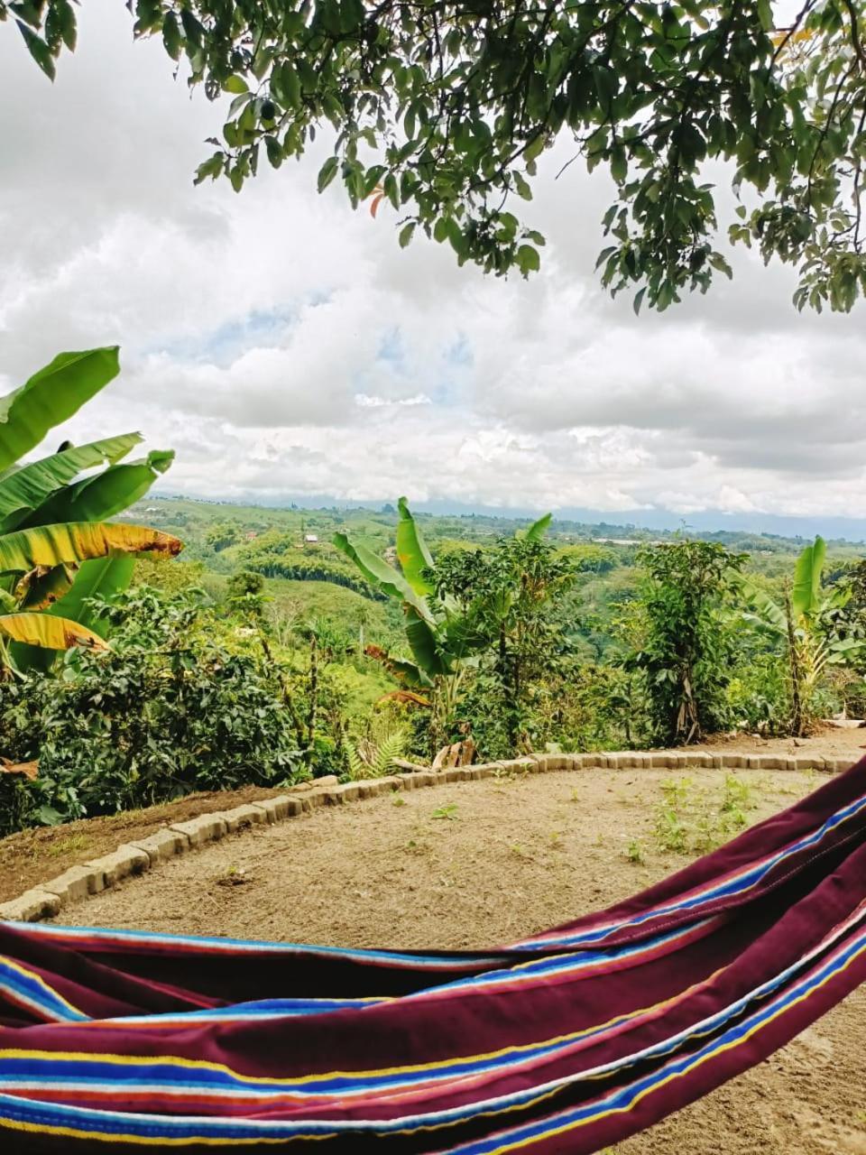 Cabanas La Miranda Filandia Bagian luar foto