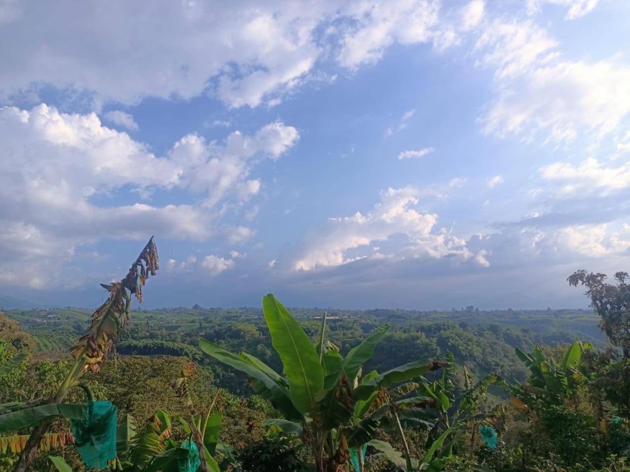 Cabanas La Miranda Filandia Bagian luar foto