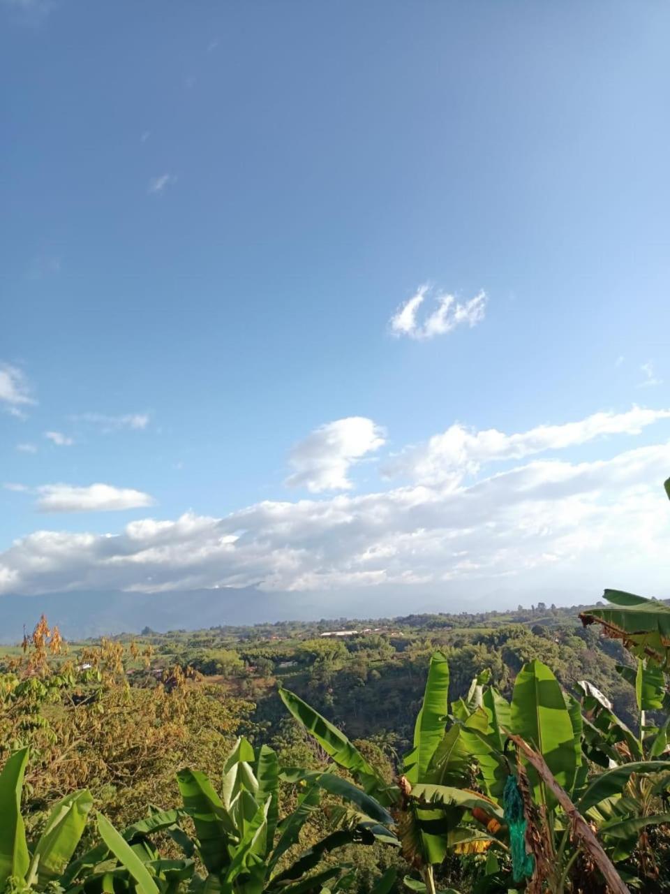 Cabanas La Miranda Filandia Bagian luar foto