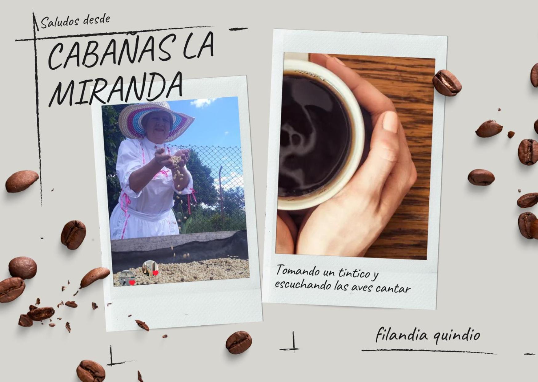Cabanas La Miranda Filandia Bagian luar foto