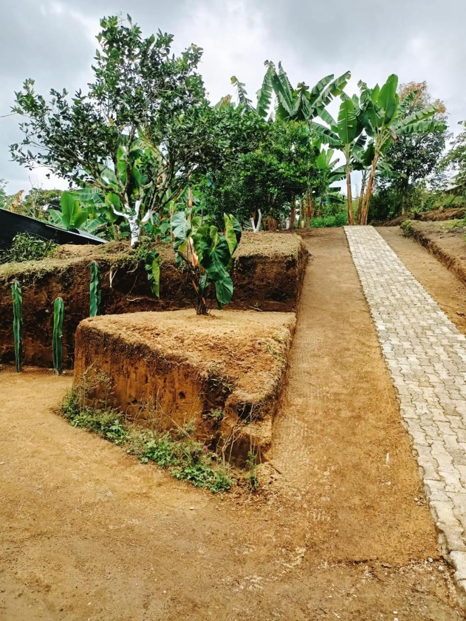 Cabanas La Miranda Filandia Bagian luar foto