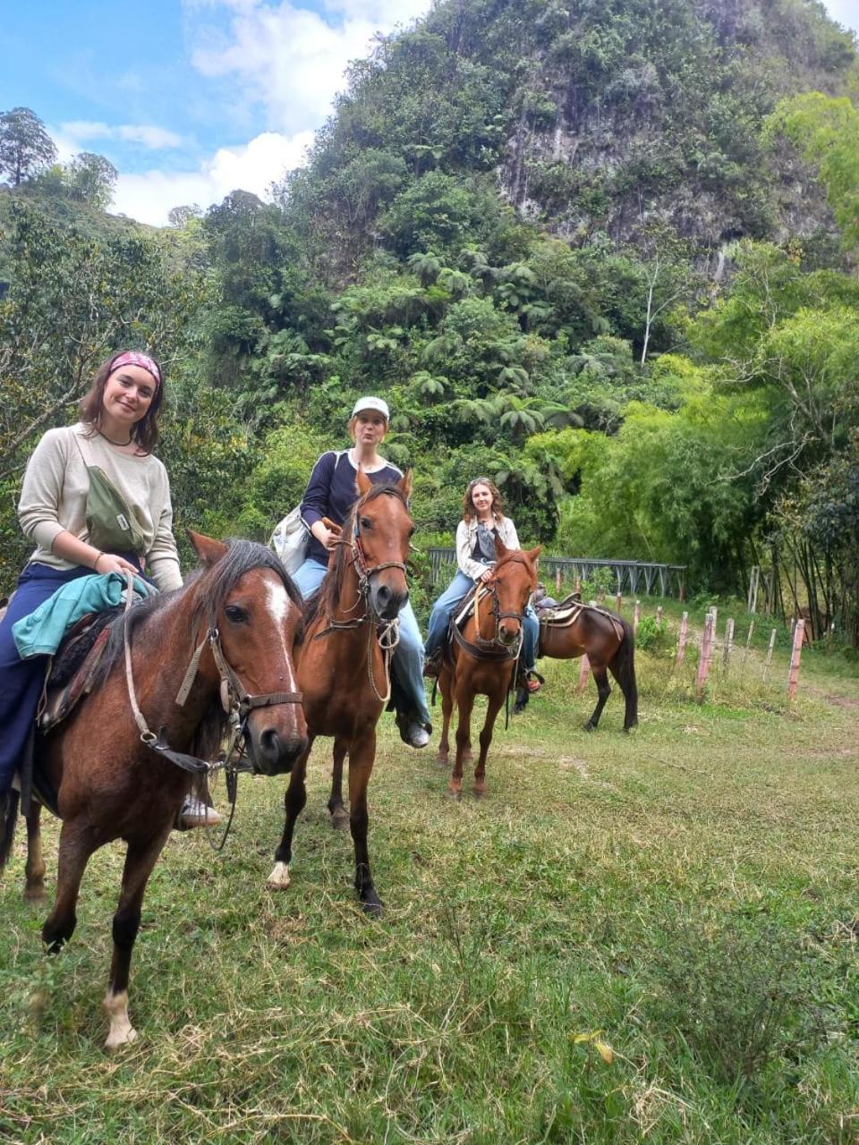 Cabanas La Miranda Filandia Bagian luar foto