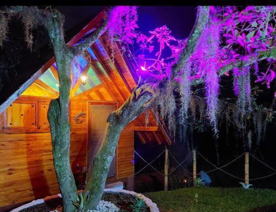 Cabanas La Miranda Filandia Bagian luar foto