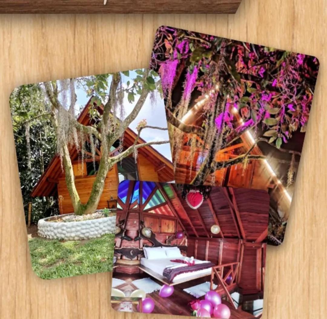 Cabanas La Miranda Filandia Bagian luar foto